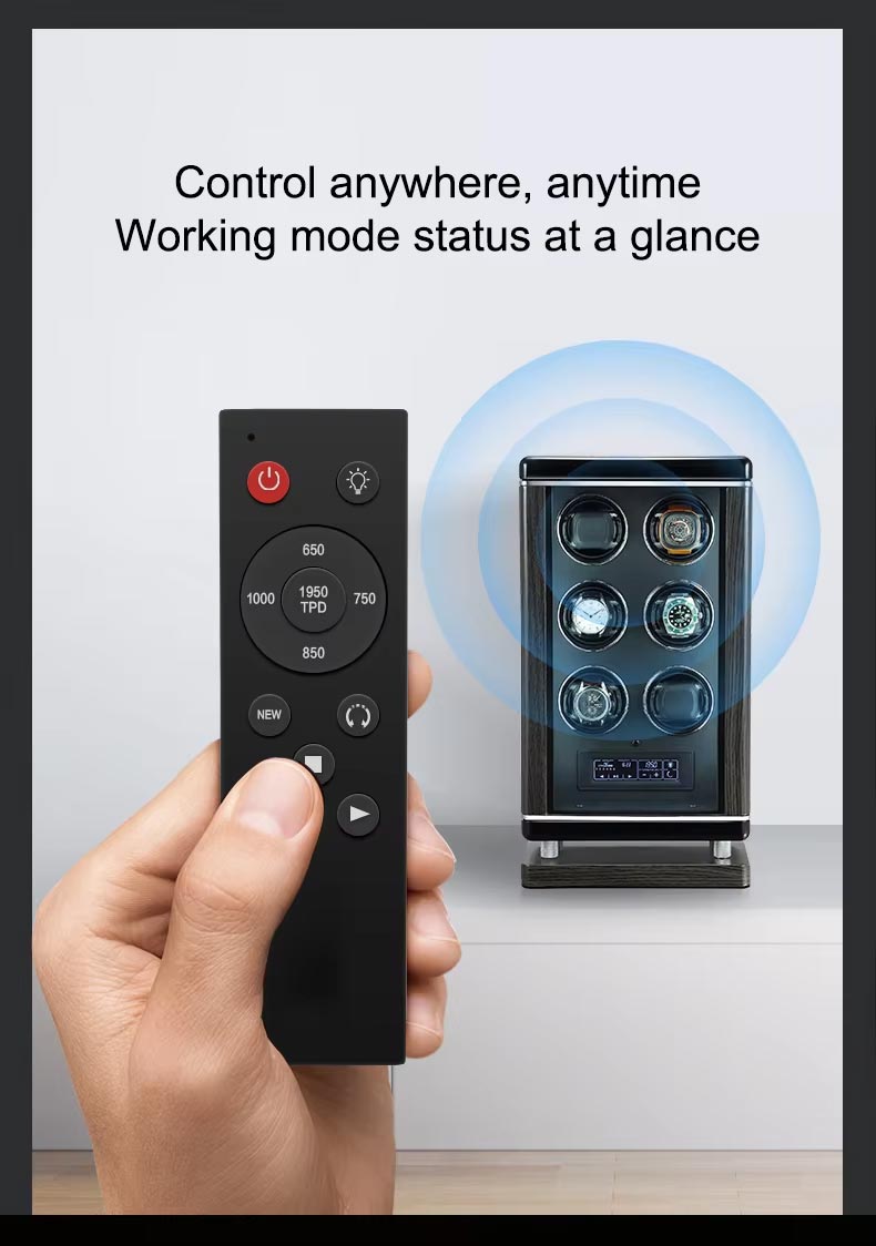 Luxury 6 Watch Winder Box