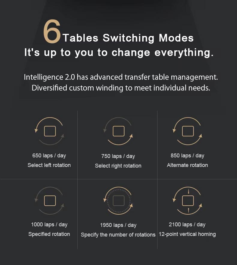 Wood 12 Automatic Watch Winder Box