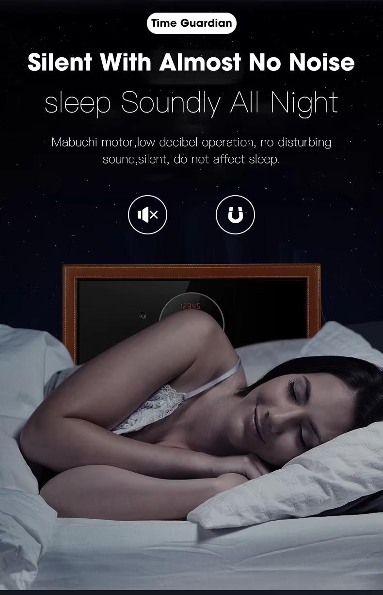 watch winder and safe